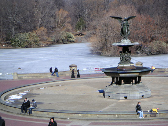 Central Park In The Cold